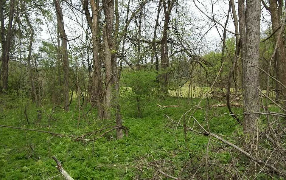 2nd image of 3292 Long Creek Rd