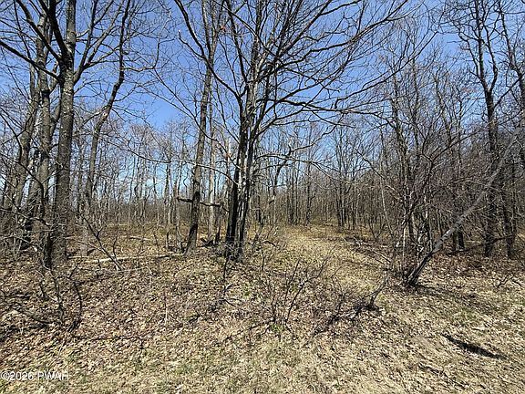 5th image of Salem Mountain Rd