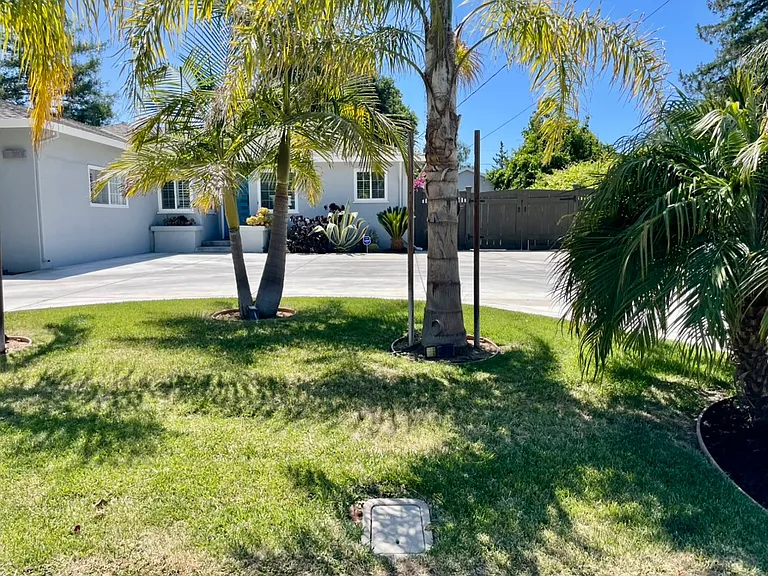 Front Yard