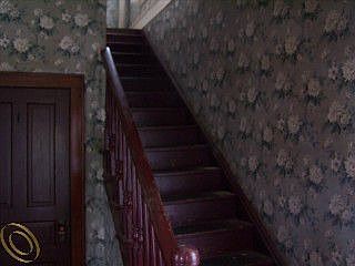 4th image of 510 Orchard St