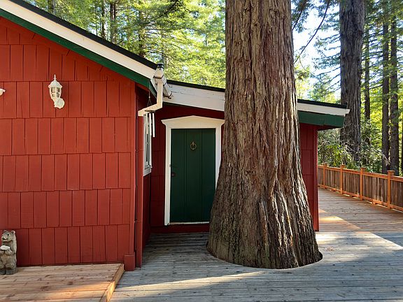 Old growth redwood that grows through the deck