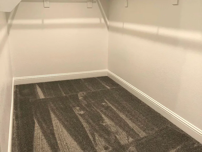 2470 Canary Grass Ln — Photo 19