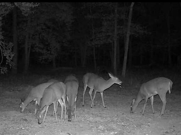 4th image of 23993 E Cherry Ln