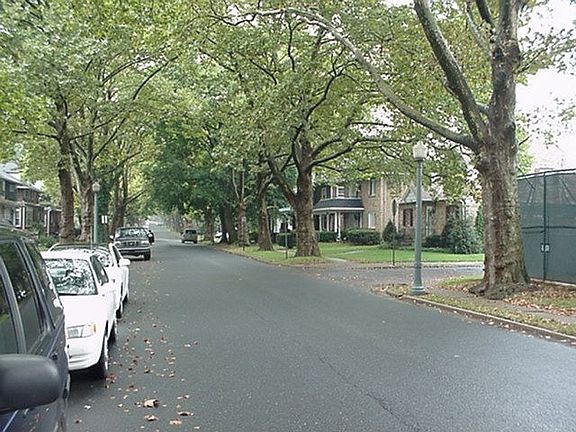 Street Scene