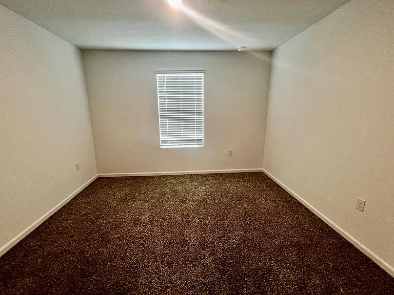 12687 Rubber Fig Ter — Photo 20