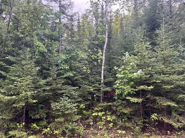 66 & 67 Renwick Cir E, Presque Isle, MI 49777