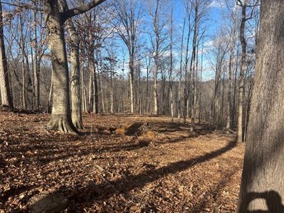 0 Tyree Ct N LOT 307, White House, TN, 37188