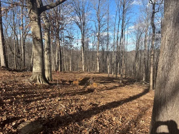 0 Tyree Ct N Lot 307, White House, TN 37188