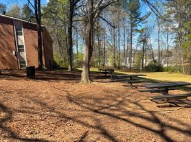 The Woods at Olley Creek
