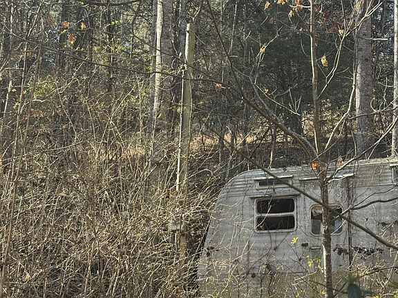 4th image of Molly Hollow Rd