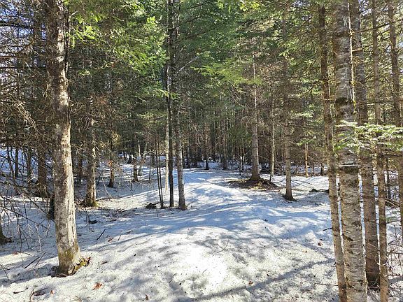 2nd image of 000 Old Coach Road #5