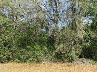 0 SW 137 Ave, Dunnellon, FL 34432