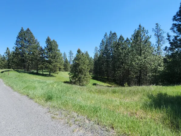 LOT 2 W Evergreen Dr, Kettle Falls, WA 99141