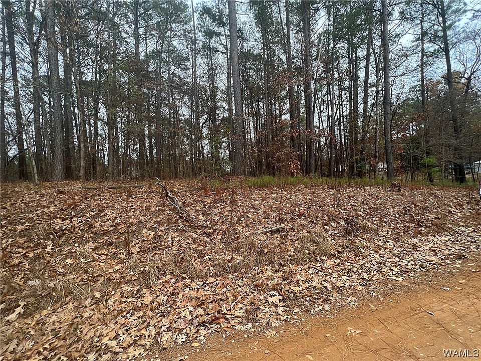 2nd image of O'Gladys Dr