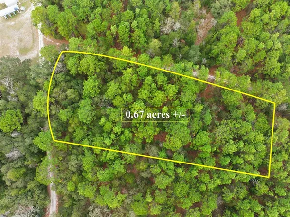 SW 36th Loop Lot 1, Dunnellon, FL 34432