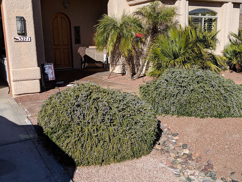 1st image of 3271 Palmtree Dr
