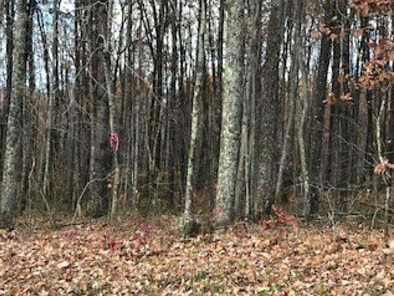 3rd image of 15 Rocky Top Rd