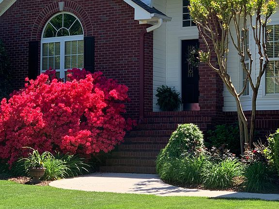 Color w/azaleas early spring