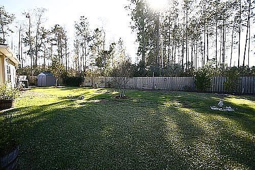 Yard