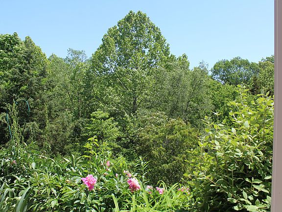 3rd image of 111 Terra Bella Ct