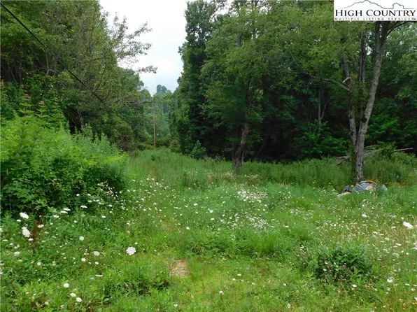 1065 Buck Hill Road, Newland, NC 28657