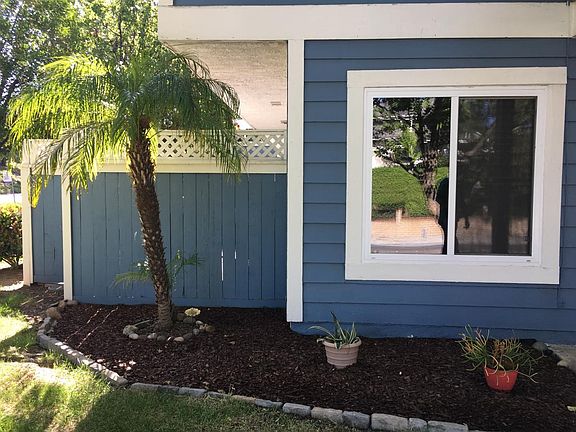 Front Window