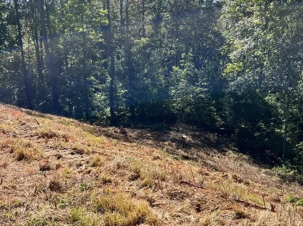 LOT 229 Woodstone Trl, Ellijay, GA 30540