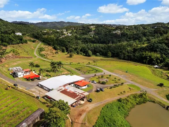 Hacienda Cascada, Aguas Buenas, PR 00703