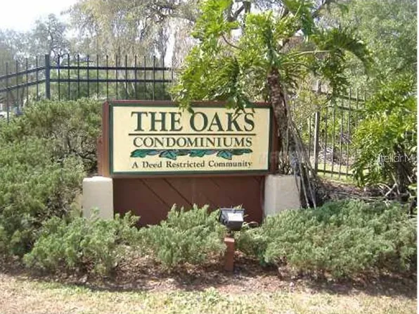 14321 Hanging Moss Cir APT 101, Tampa, FL 33613