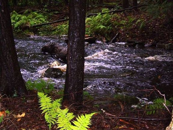 Babbling Creek