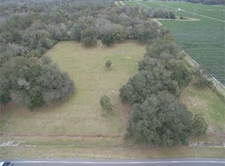 10036 S County Road 39, Lithia, FL 33547