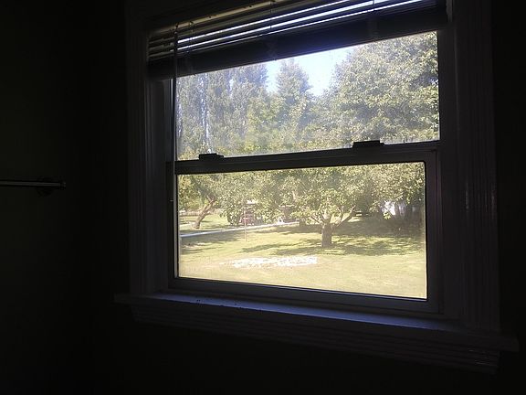 Backyard out the bathroom window