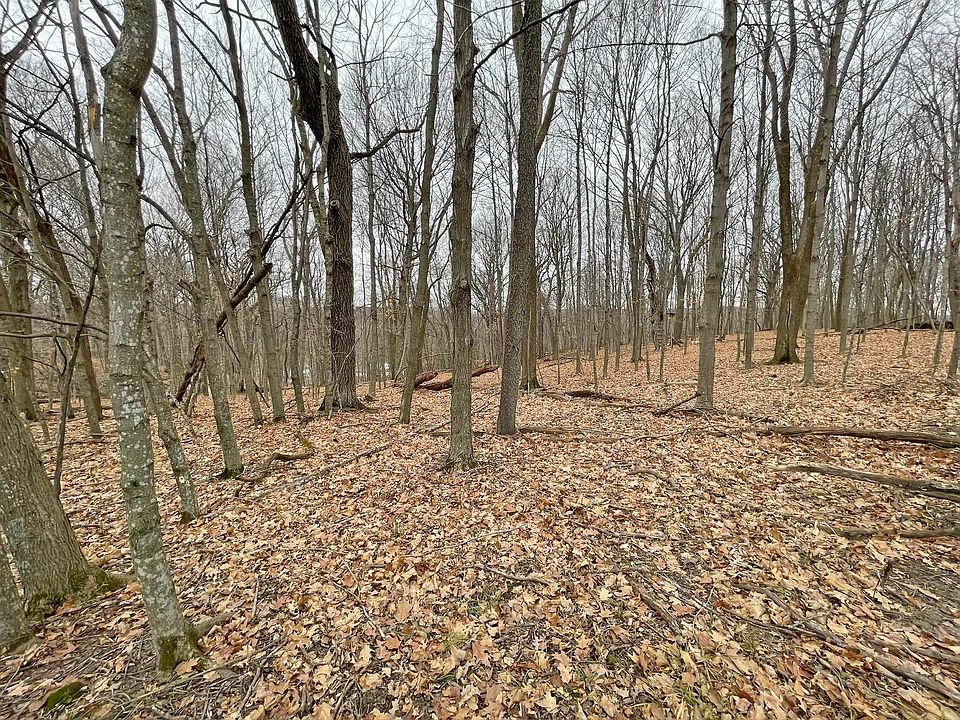 1st image of L150 Black Forest Dr