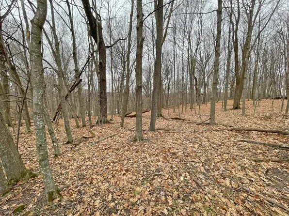 L150 Black Forest Dr, La Valle, WI 53941