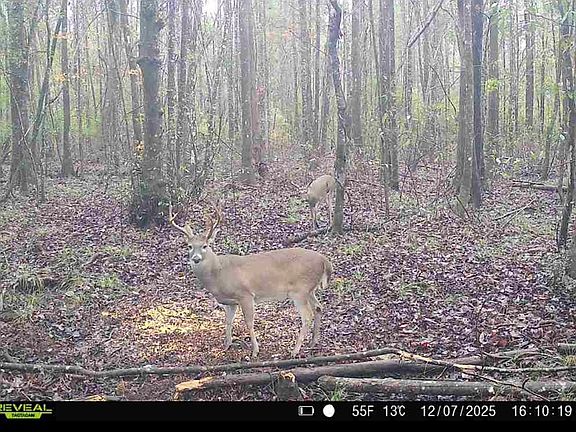 5th image of Millville Rd