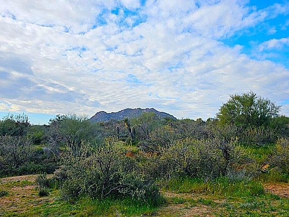 4th image of 35605 N 138th Way #-