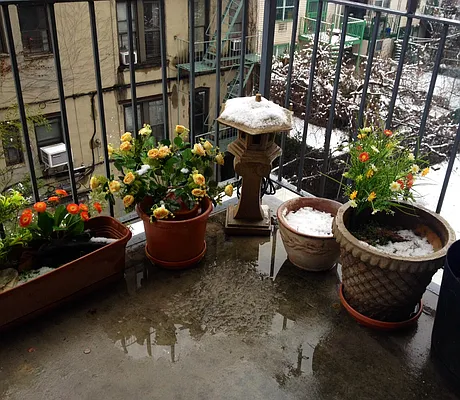 Rented by Safeguard Realty Management | media 3