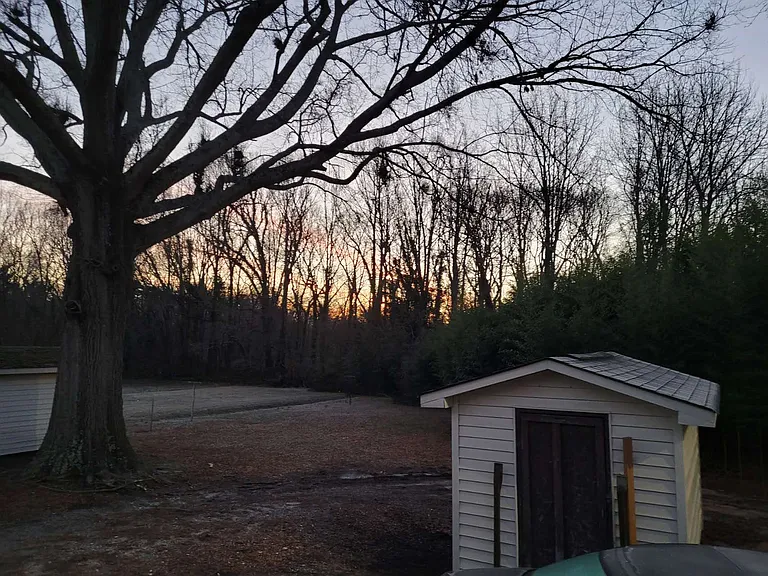 Tranquil private backyard perfect for peaceful sunrise views.