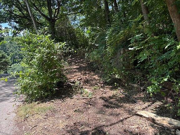 2nd image of 163 Dal Brown Rd