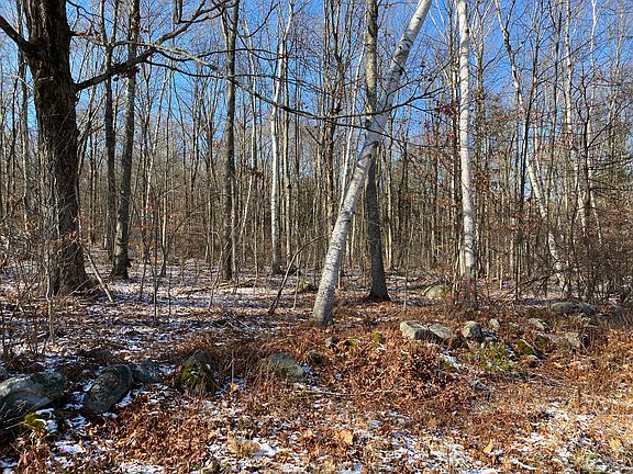 75 Lake Harwinton Road