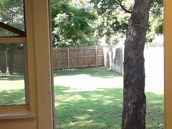 Backyard from kitchen door