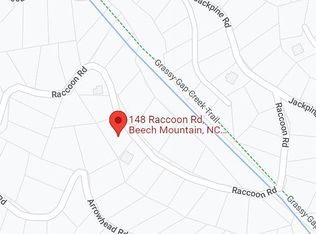 148 Raccoon Rd, Banner Elk, NC 28604