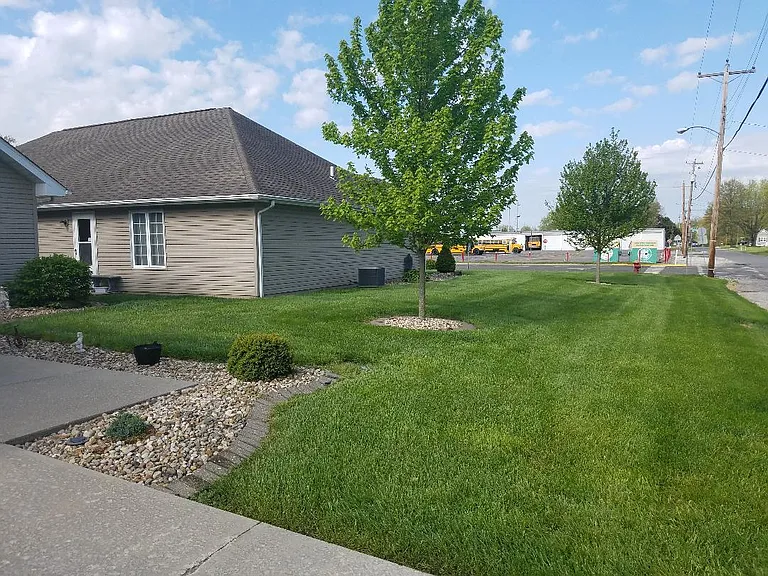 Main Yard