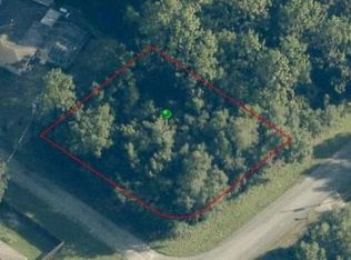 2763 W Century Blvd Lot 10, Dunnellon, FL 34434