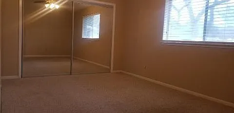 2822 Chimneystone Cir — Photo 12