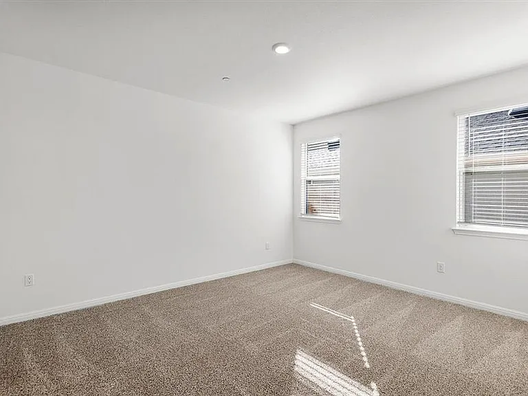 2517 Violet Theo Ln — Photo 19