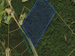 King Stepp Rd, Mill Spring, NC 28756