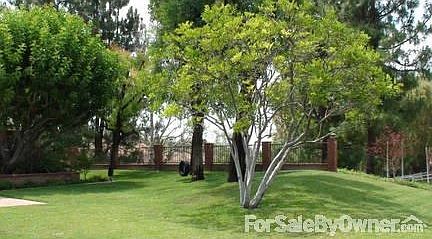 Front Yard : Park Like Setting