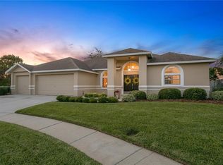 22717 Glyndon Point Rd, Lutz, FL 33549