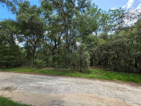 00 SE 105TH TERRACE LOT 4, OCKLAWAHA, FL 32179
